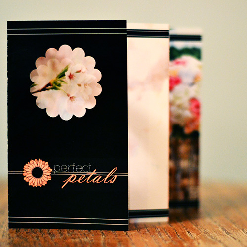 Spackalicious Designs Gallery Image, Links to a school assignment designing a brochure