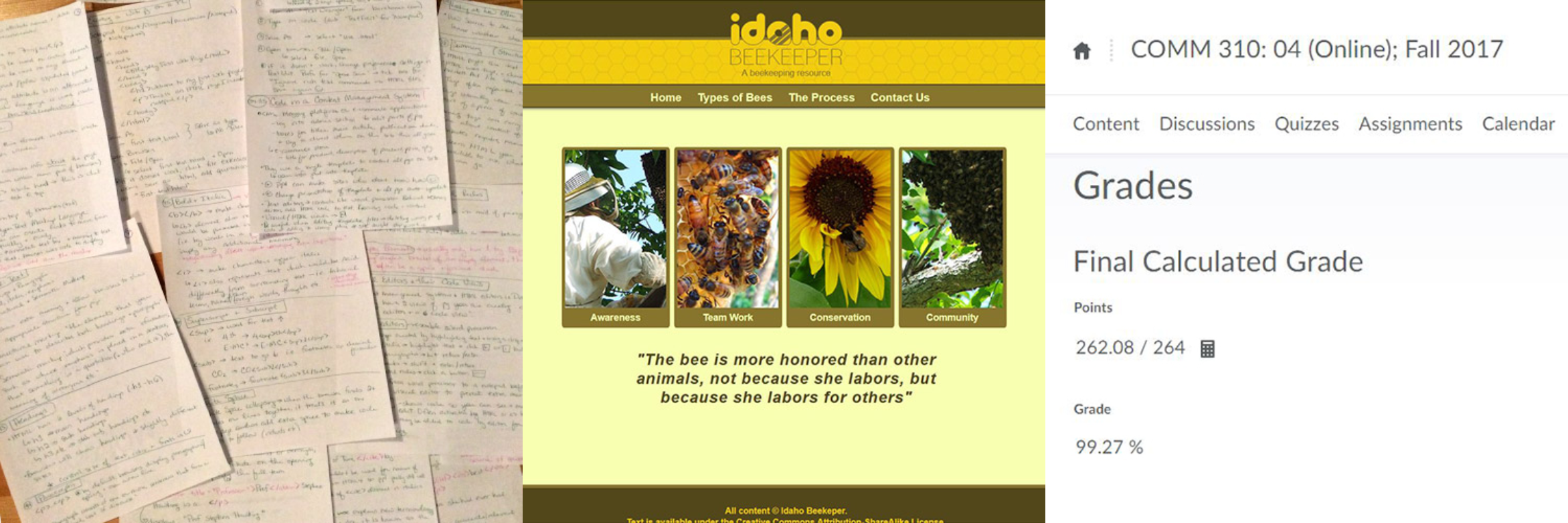 Julie's First Website from scratch