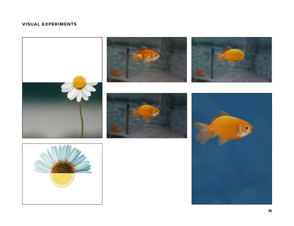 Design process for Julie's Graphic Design Project on Creative Strategies
